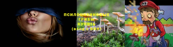 прущая мука Белокуриха