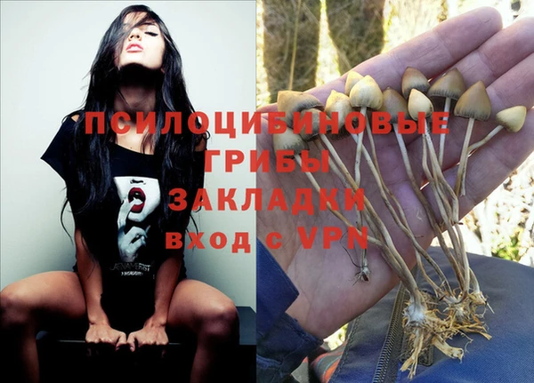 а пвп мука Беломорск