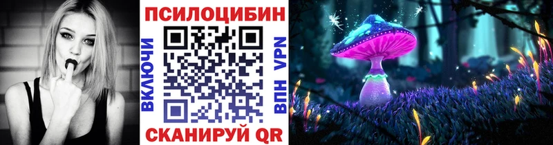 Псилоцибиновые грибы Psilocybe  купить закладку  Горняк 